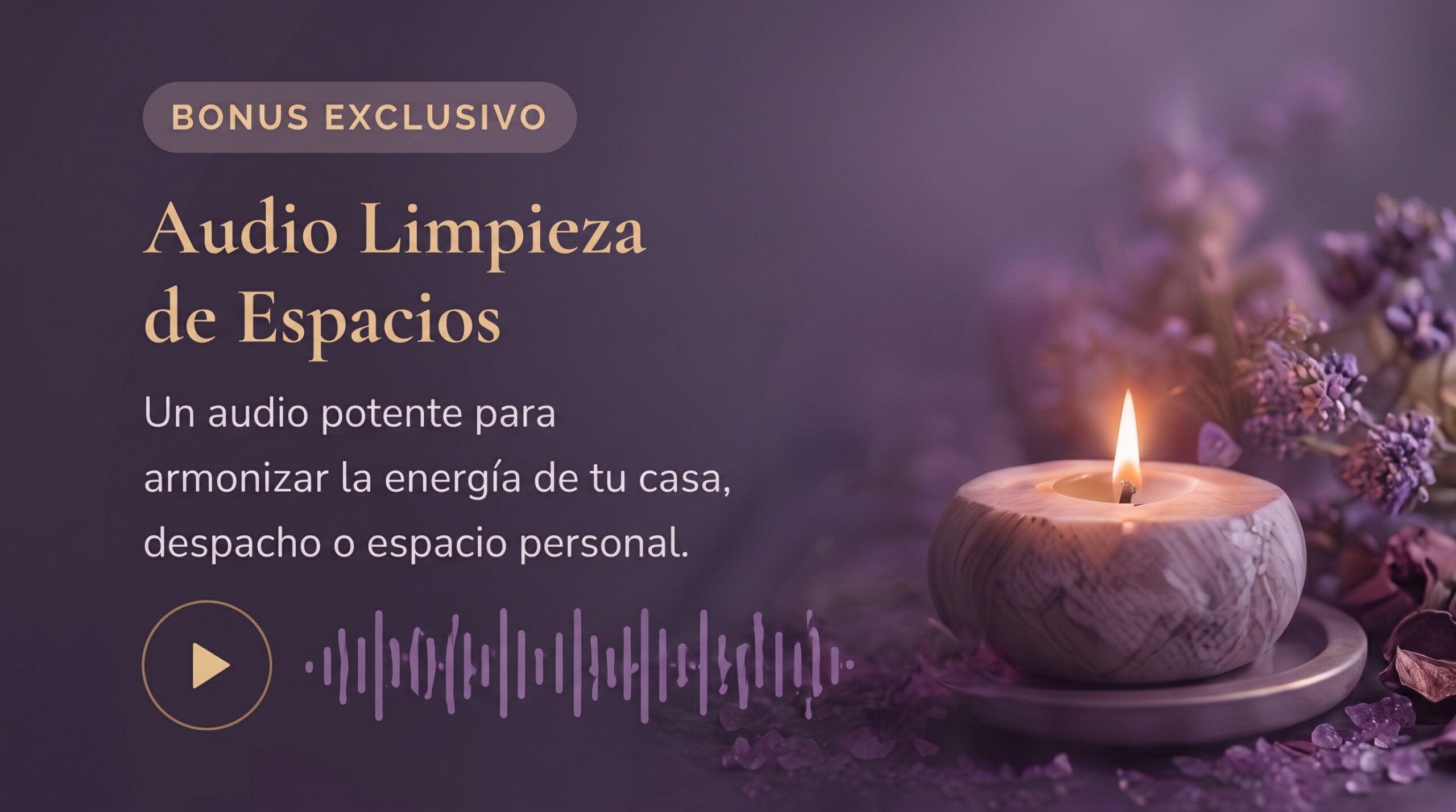 Bonus-Exclusivo