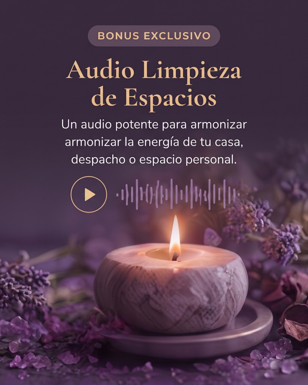Bonus Movil Bonus